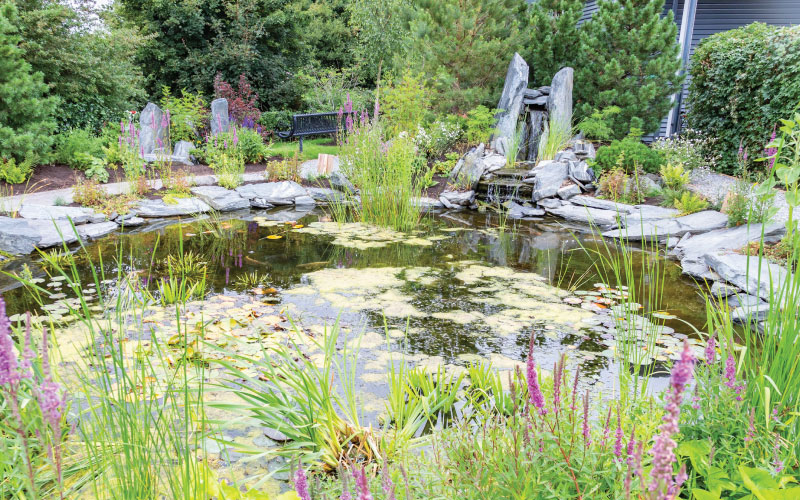 a beautiful garden, with a large pond filled with lily pads, in the centre, a miniature waterfall, encapsulated by slate stone, with a mixture of tall grass and fox gloves throughout.