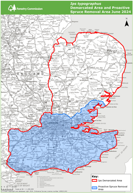 Proactive Removal Zone for Ips Typographus as of June 2024