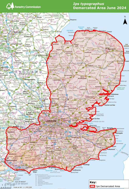 Demarcation Zone for Ips Typographus as of June 2024