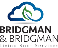 Bridgman Bridgman