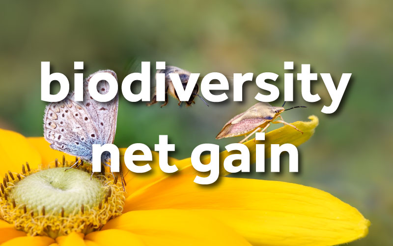 Defra shares next steps for Biodiversity Net Gain - British Association ...