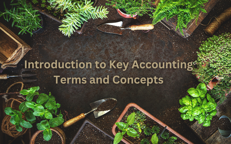 Introduction to key accounting terms and concepts - British Association ...