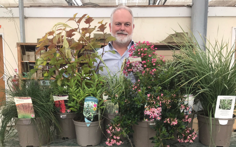 Wyevale Nurseries enters nine new plants for National Plant Show awards ...