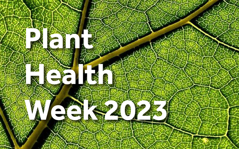 Plant Health Week 2023 the importance of plant health British