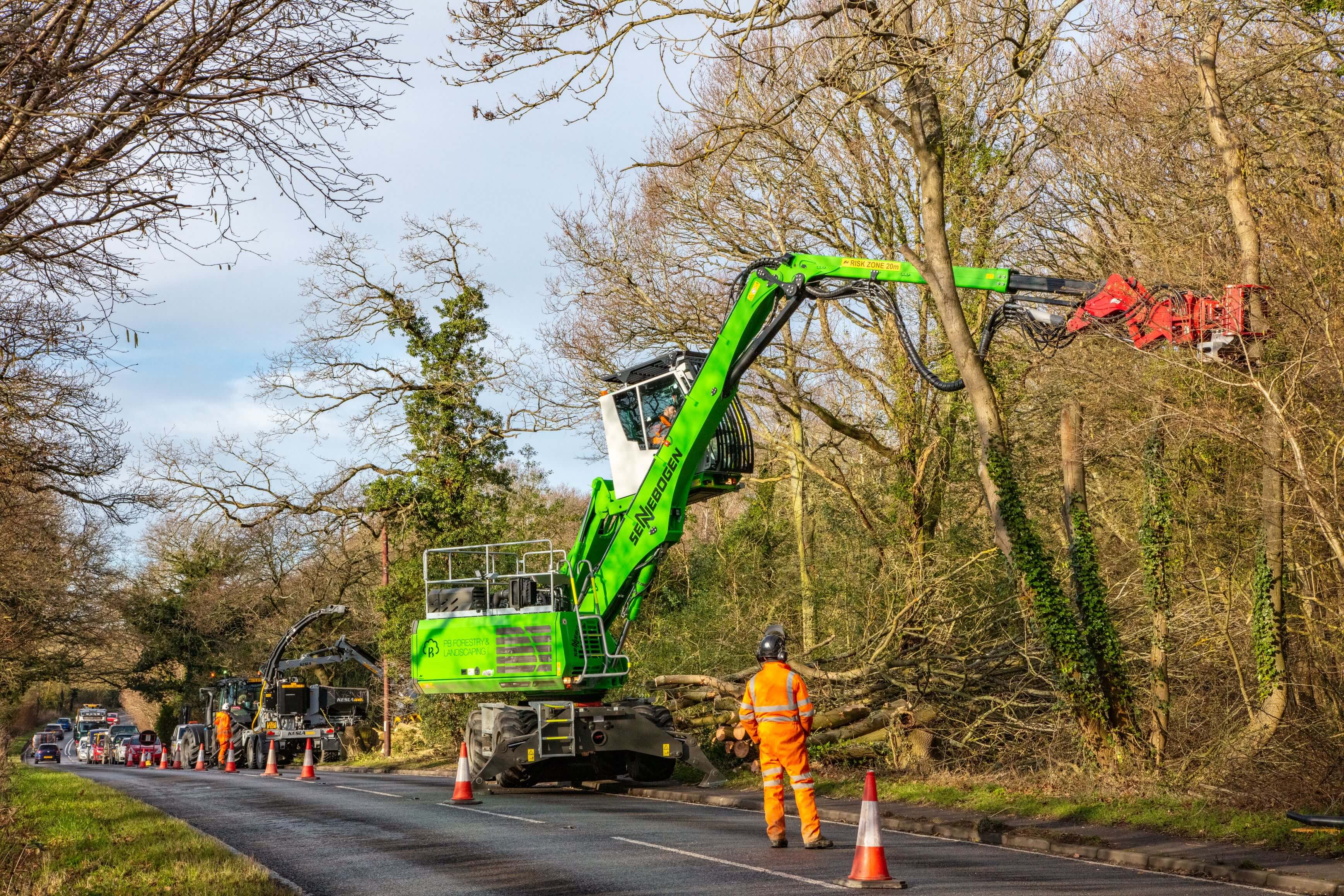 PB Forestry Invest £1 Million To Combat Ash Dieback Threat Across UK ...