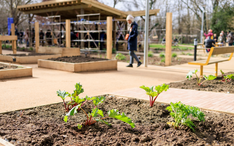 Blakedown Landscapes builds wellbeing garden for University Hospital ...